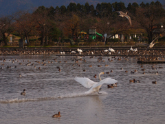 着水