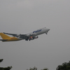 Polar+DHL～点灯