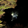 夜滝