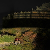 夜の影