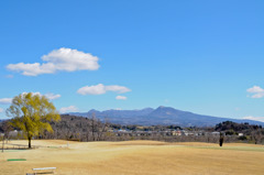 いい天気だけど・・・風強～
