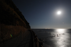 夜の遊歩道