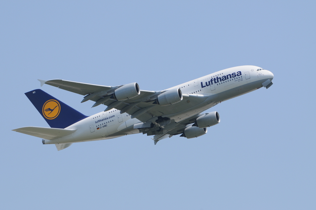 でっか～リベンジ