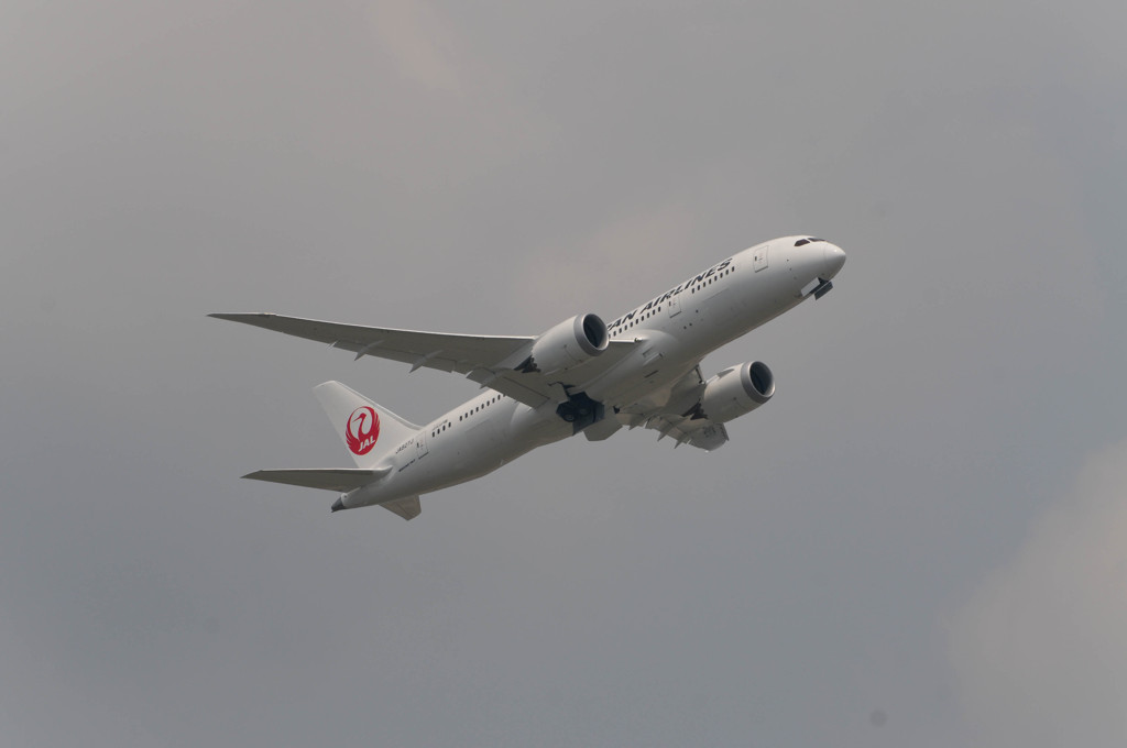 初787@JAL