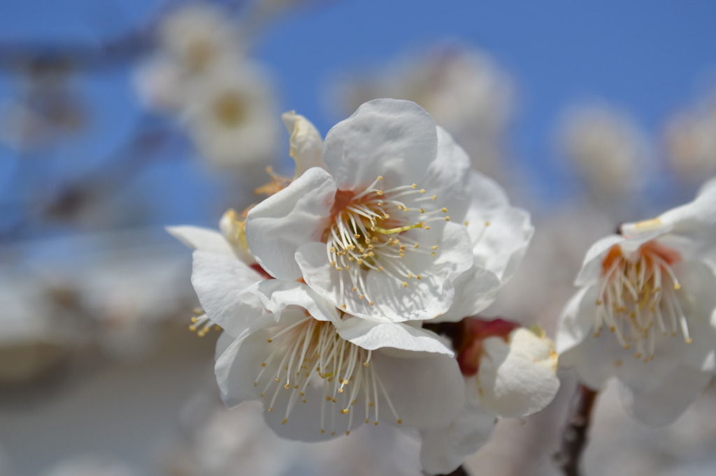 近くの公園にて