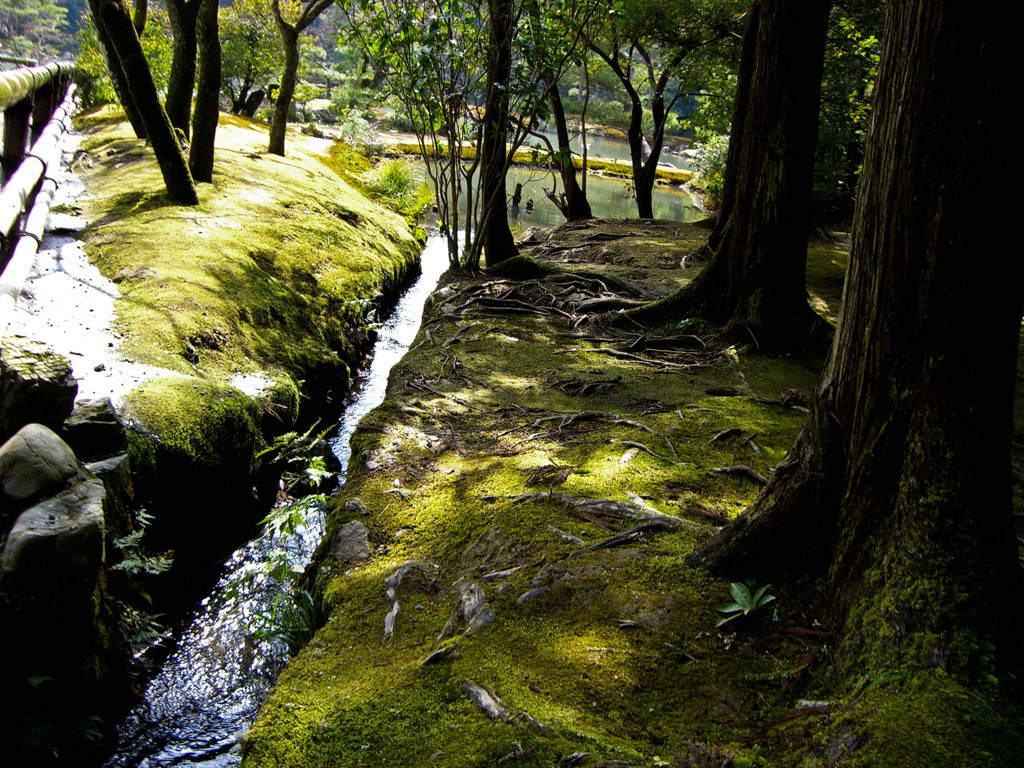 森の水路