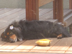 resting 2