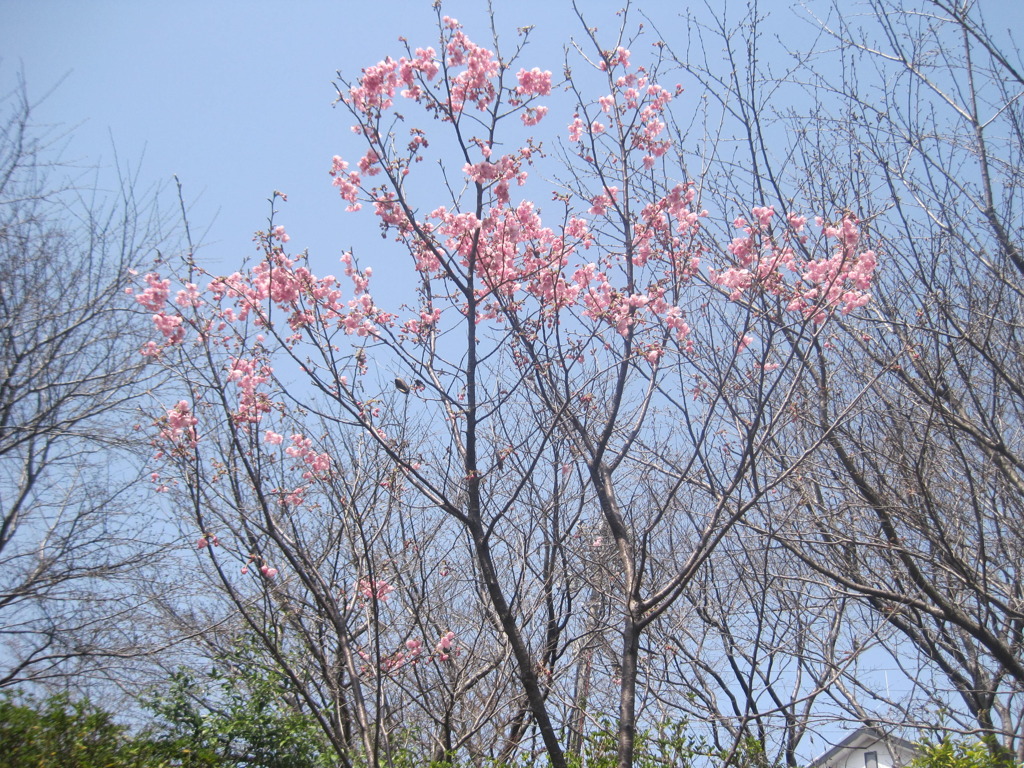 孫の成長