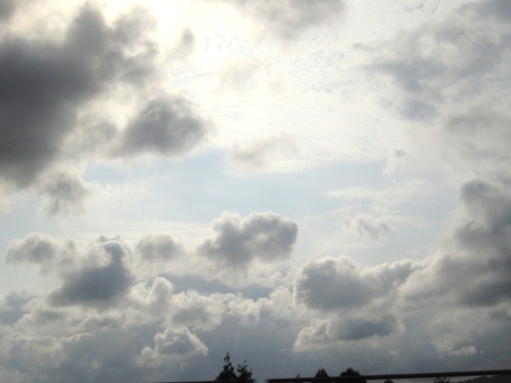 雲動物たち　明るい方へ・・