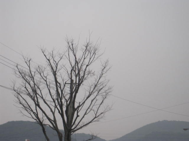 cloudy