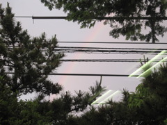 雨のち虹