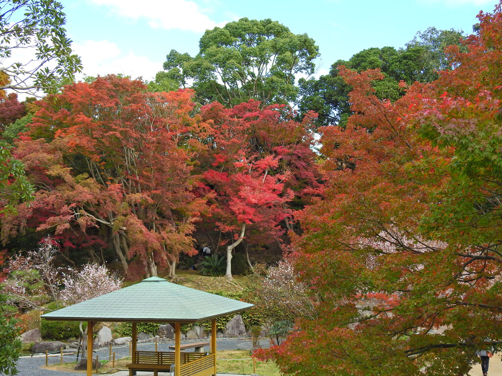 神戸市立須磨離宮公園①