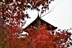 神戸・太山寺⑩