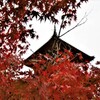 神戸・太山寺⑩