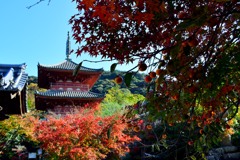 太山寺・三重塔⑤