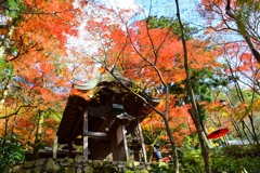 瑞宝寺公園⑥