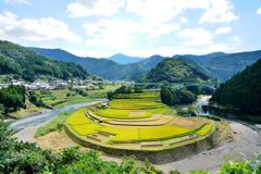あらぎ島・棚田②