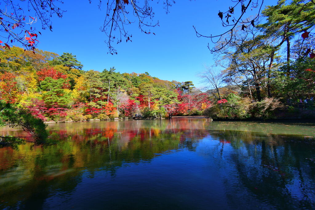 神戸市立森林植物園⑧