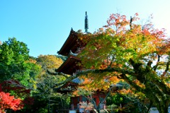 太山寺・三重塔④