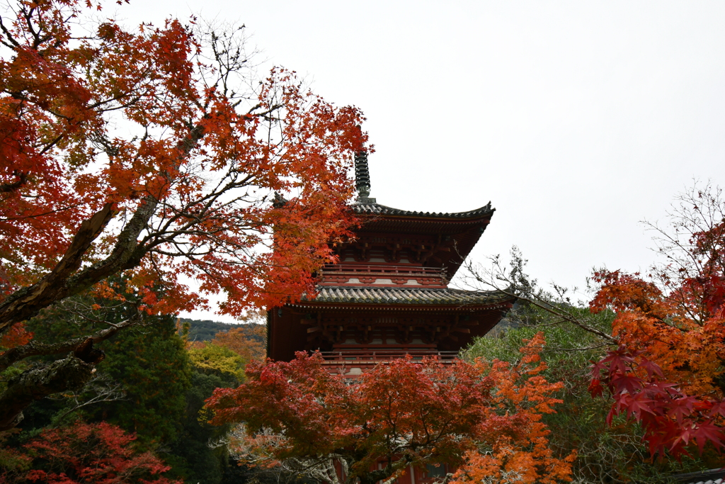 神戸・太山寺⑥ by himatora7 （ID：9169871） 写真共有サイトPHOTOHITO
