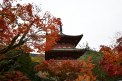 神戸・太山寺⑥