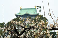 大阪城公園・梅林⑤