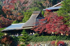 京都・嵐山⑤