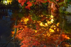 京都・清水寺(7)