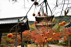 神戸・太山寺⑨