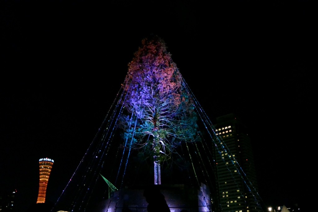 神戸港からメリークリスマス⑨
