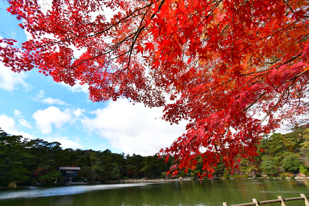 修法ヶ原の紅葉④