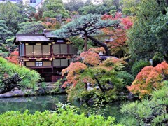 神戸市立相楽園の紅葉④