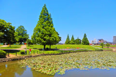 白鷺公園③