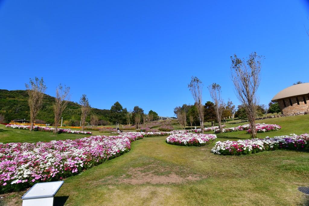 淡路島・国営明石海峡公園⑧