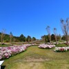 淡路島・国営明石海峡公園⑧