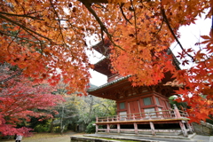 神戸・太山寺④