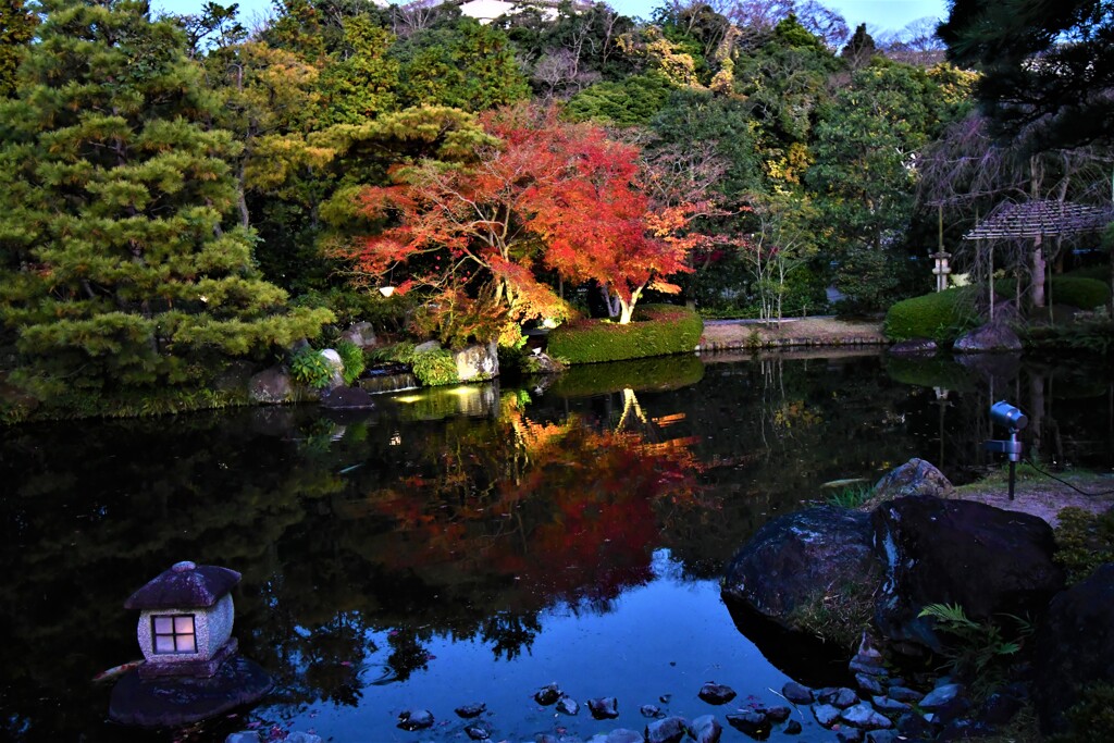 姫路・好古園の紅葉ライトアップ④