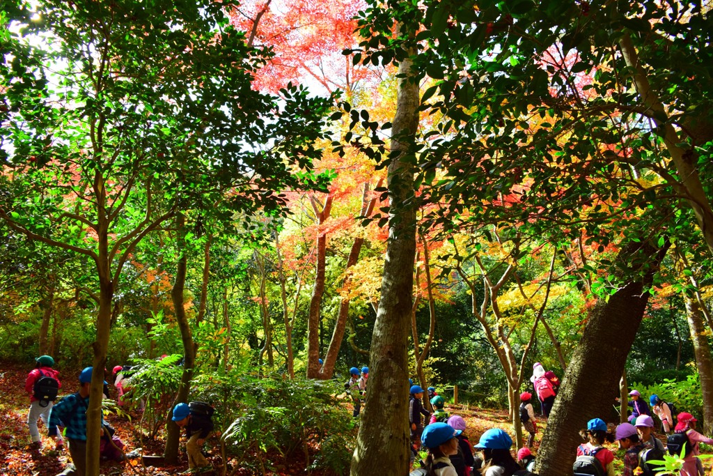 瑞宝寺公園①