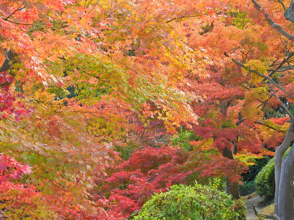 神戸市立須磨離宮公園⑧
