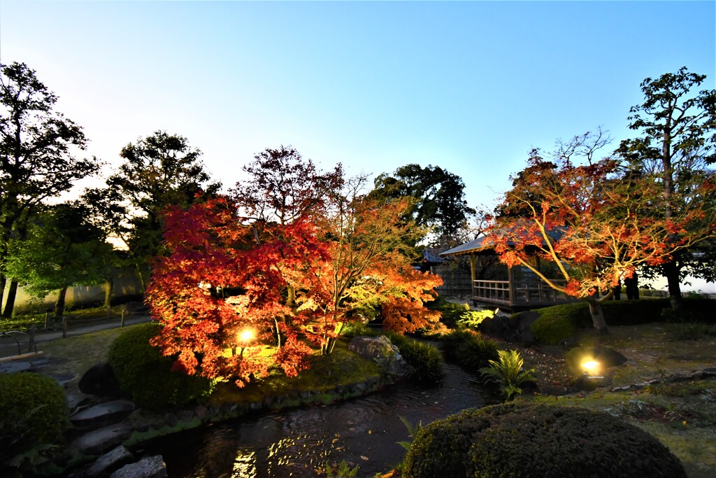 姫路・好古園の紅葉ライトアップ⑥