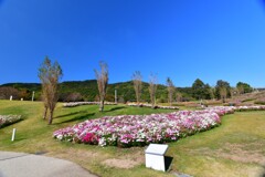 淡路島・国営明石海峡公園⑨