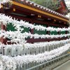 初詣⑥