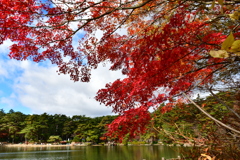 修法ヶ原の紅葉③