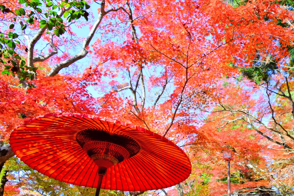 瑞宝寺公園⑱
