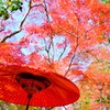 瑞宝寺公園⑱