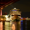 Celebrity MILLENIUM(1)