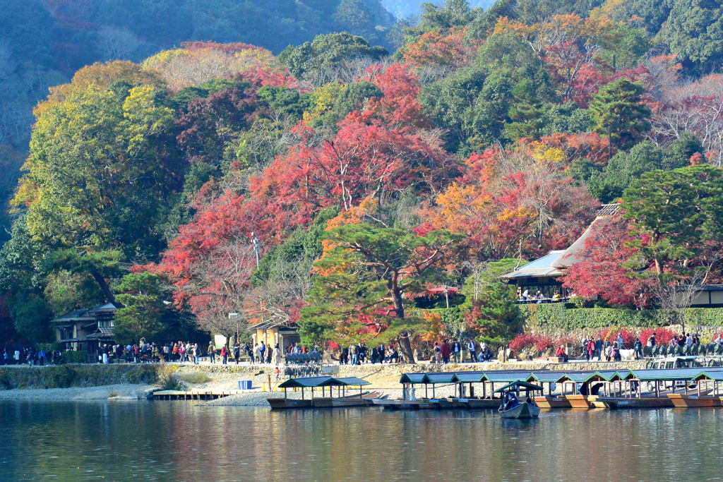 京都・嵐山③