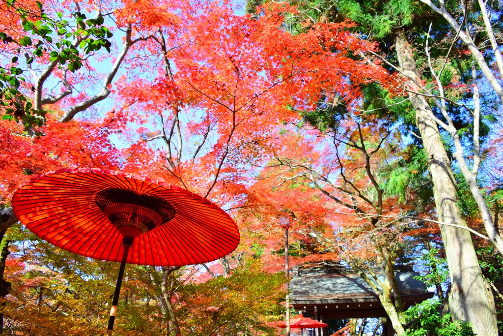 瑞宝寺公園③