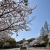 王子動物園①
