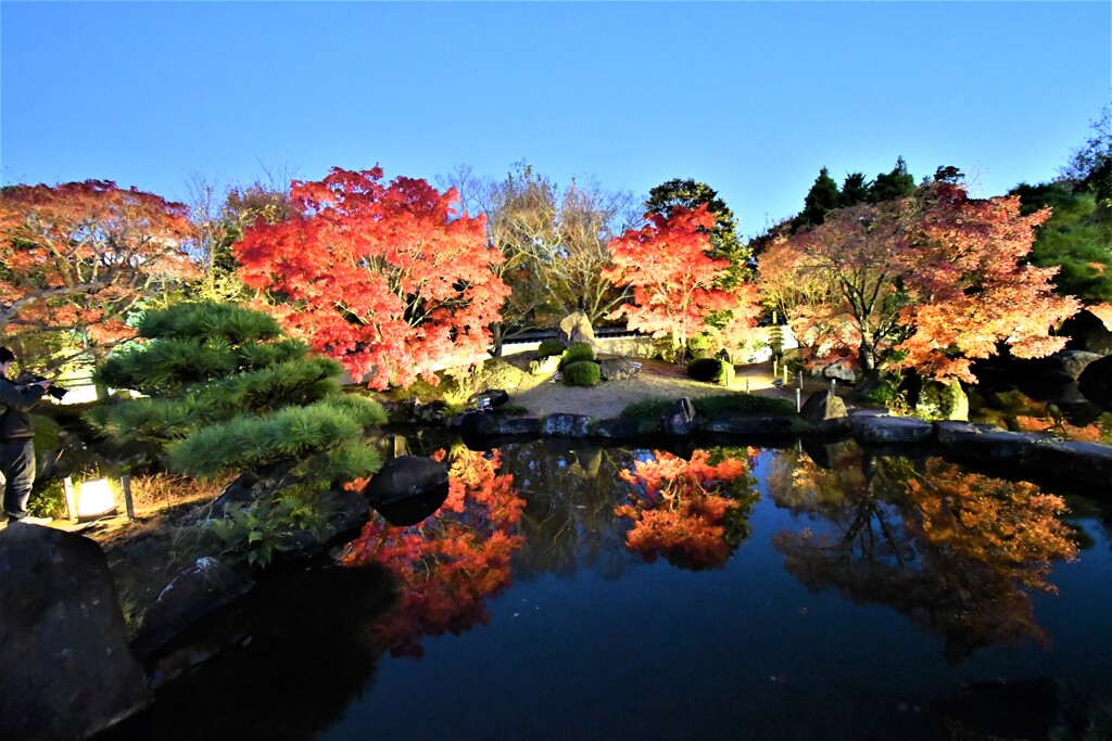 姫路・好古園の紅葉ライトアップ⑦